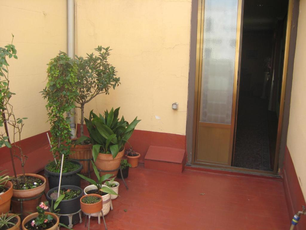 Hostal La Selecta Madrid Exteriör bild